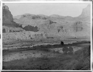 Lands farmed by the Havasupai Indians in Havasu Canyon, Grand Canyon, ca.1899