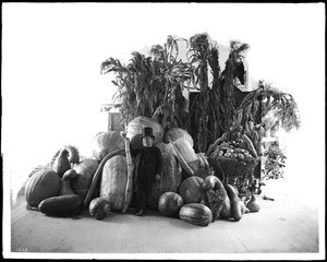 Los Angeles Area Chamber of Commerce exhibit of large fruits and vegetables, ca.1902