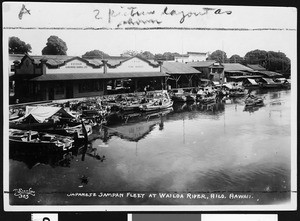 Japanese Sampan fleet at Wailoa River, Hilo, Hawaii