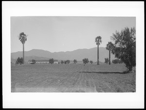 Exterior of Mission San Fernando Rey de Espana, California, and field, ca.1887