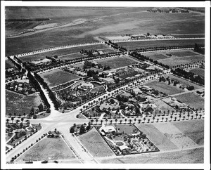 Aerial view of Beverly Hills showing New Beverly Drive, 1918