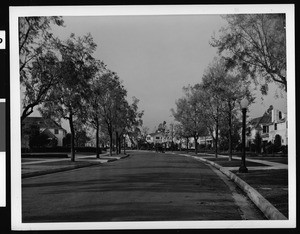 View of a curving residential street in Beverly Hills