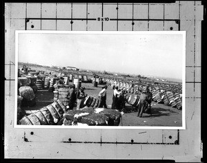 African-American men moving bales of cotton in an unidentified location, 1920-1930