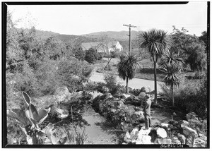 Pathway leading from the Driveway to the Grotto in Oakmont, showing Robert Murray, February 10, 1927