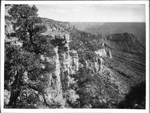 North rim from the west end of Duttons Point looking east, Grand Canyon, ca.1900-1930