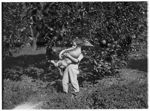 A young boy holding an adult goose in his arms