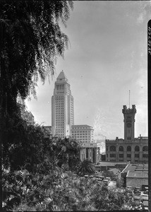 View of Los Angeles City Hall from behind a pepper tree, ca.1928