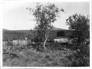 Indian cemetery at Pala, California, ca.1898-1902