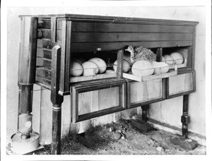 An incubator for ostrich eggs, South Pasadena, ca.1900