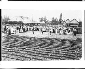 People posing behind hundreds of racks of drying apricots at an unknown location