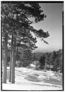 View of a snowy slope at Big Pines Recreation Camp campsites