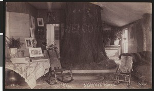 Interior view of a tree room in Yosemite's Sentinel Hotel, ca.1920-1930