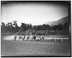 Nine horses racing on a dirt racetrack