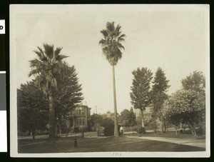 Sacramento mansion lawn, ca.1900