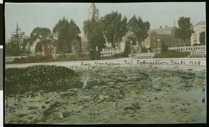 View of the Lily Pond in Exposition Park with the University of Southern California in the background, 1928