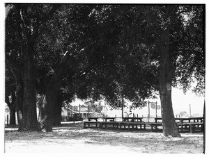 A park scene at the Nadeau Deer Farm