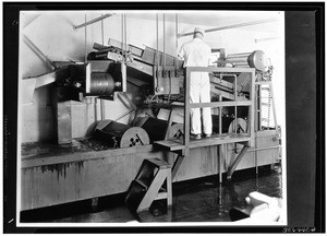 Elaborate washing machine and attendant handling lemons for the Exchange Products Company in Corona, California, ca.1930