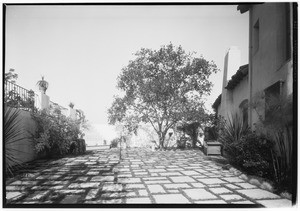 View of the courtyard behind Harry Schoenbum's house in Hollywood