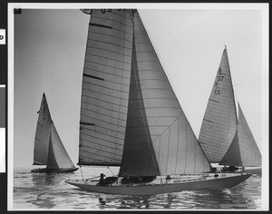 Close-up of three sailboats making their way through a calm stretch of water, ca.1940