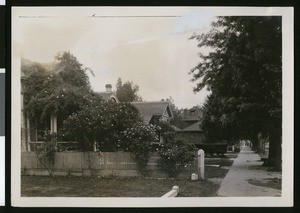 Homes in San Bernardino, showing trees on the far right, ca.1900