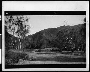 Placerita Canyon, the site of gold discovery in 1842, ca.1900-1940