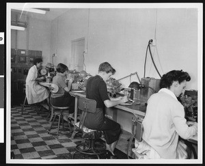 Women workers in an unidentified electronics office, ca.1950