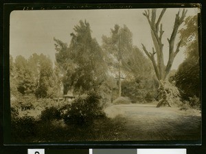 Dirt road in Chico Rancho, Chico, ca.1910