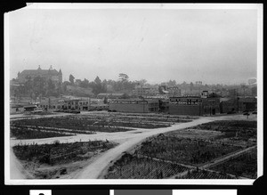 View of a cleared plot and commercial buildings in East Los Angeles