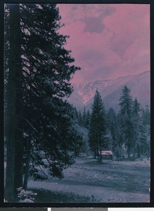 Log cabins on tree-dappled property with mountains in the distance