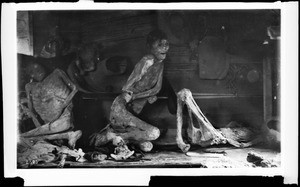 Mummies of Indian cliff dwellers, 1895