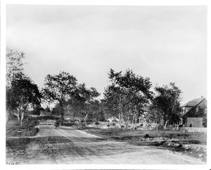 View of Pasadena Avenue (formerly North Figueroa Street) looking north from the beginning of Sycamore Grove in Highland Park, ca.1888-1890