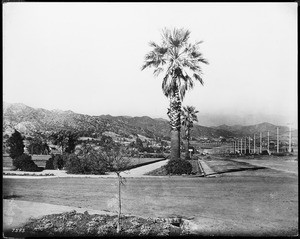 Beverly Hills near the Pacific Electric Station, showing Santa Monica Boulevard in the foreground, ca.1918