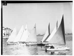 A group of sailing boats, showing a person in each vessel