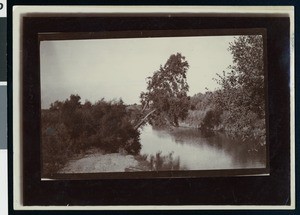 View of Mokelumne River in Lodi, San Joaquin County, ca.1900