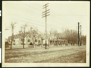 "Lion bee hive houses" and the exterior of the Latter Day Saints College in Utah