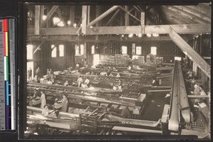 Interior of a citrus processing plant, showing conveyor belts, Pomona, ca.1910