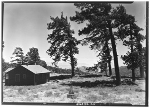 Mountainside cabin near Big Pines Recreational Camp