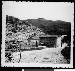 Small goat ranch in the canyon near Laguna Beach, ca.1950