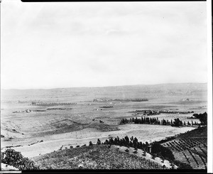 Panoramic view of Hollywood looking from Gower Street and Temple Hill Drive, 1900