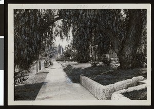 Unidentified sidewalk in San Bernardino, ca.1900