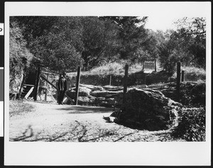 Man standing in front of the "Queen of the Forest", a fallen sequoia tree, ca.1900-1930