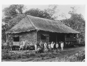 Group of about a dozen people standing in front of a thatched dwelling in the Philippines, ca.1900