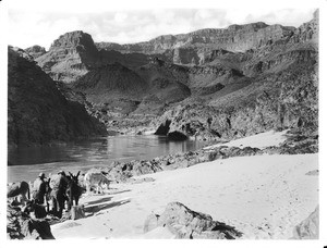 Repacking burros after swimming across the Colorado River, Grand Canyon, ca.1900-1930