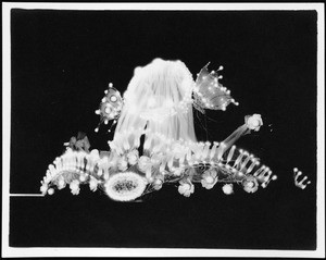 Panama-Pacific International Exposition night float, depicting butterflies, San Francisco, 1915