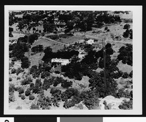 Birdseye view of buildings surrounded by clusters of trees in Los Angeles