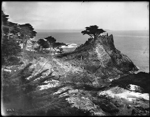 Cypress Point along 17 Mile Drive in Monterey, ca.1908