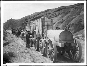 Twenty-mule team hauling borax in a wagon as seen from behind, probably in Mule Canyon, ca.1890