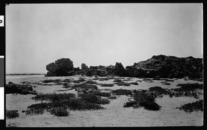 View of rocks on Balboa Beach at Corona Del Mar, 1924