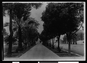 Sidewalk near Court House, ca.1900