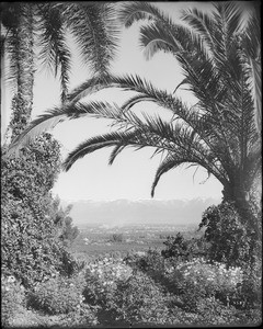 View of Redlands from Smiley Heights, Redlands, ca.1900